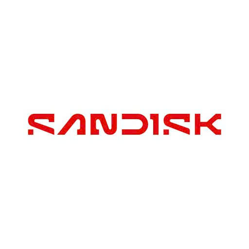 SANDISK SANDISK